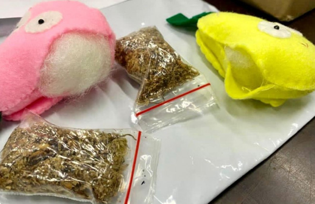 В игрушках для детей обнаружили наркотики: «подарок» шел из Индонезии