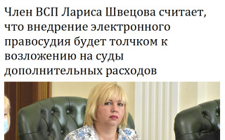 Член ВСП Лариса Швецова считает, что внедрение электронного правосудия будет толчком к возложению на суды дополнительных расходов