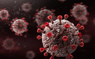 ВОЗ заявила о появлении еще одного вируса