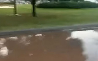 «Образовалась настоящая Венеция»: в Киеве снова прорвало трубу, видео