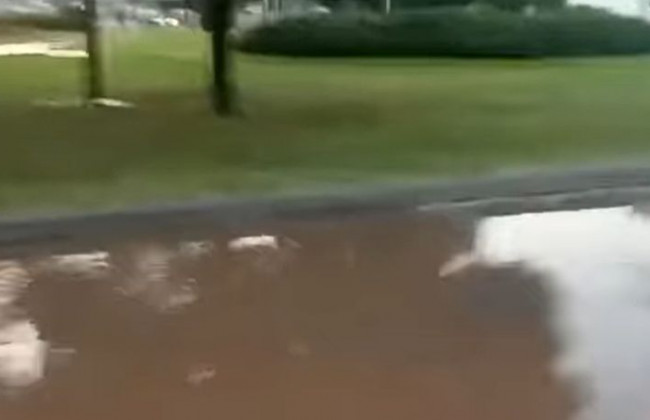 «Образовалась настоящая Венеция»: в Киеве снова прорвало трубу, видео