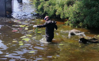 В Киеве из Днепра достали тело утопленника