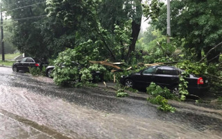 На Львов обрушилась буря: произошли подтопления и повалены деревья, фото и видео