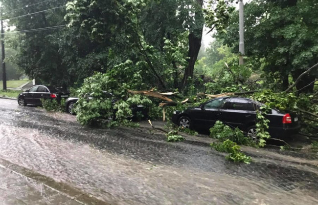 На Львов обрушилась буря: произошли подтопления и повалены деревья, фото и видео