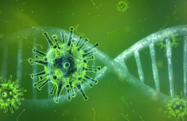 Назвали самые опасные штаммы коронавируса: список