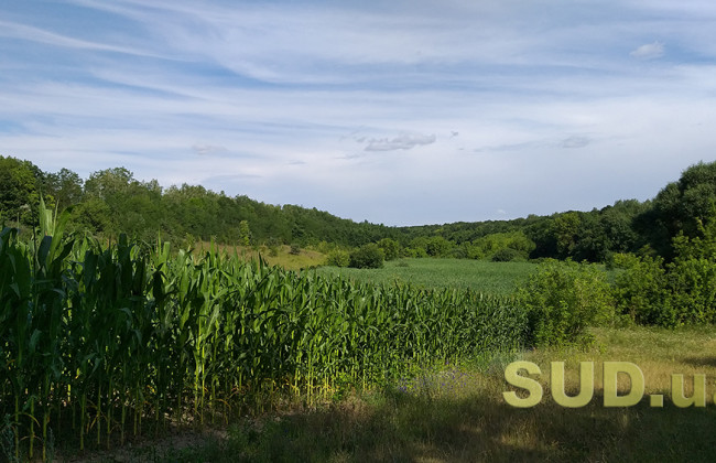 Оприлюднено закон про онлайн-торгівлю землею: в якому порядку це відбуватиметься