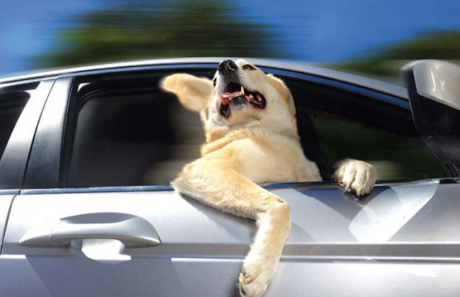 Назвали 5 способов охладить салон автомобиля без кондиционера