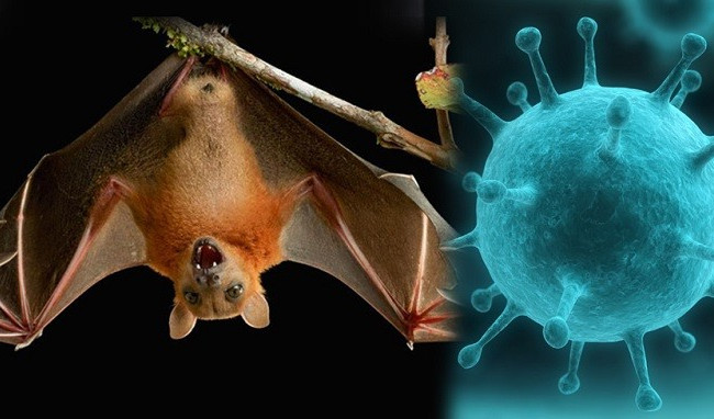 В Индии обнаружили самый опасный вирус от которого нет вакцины