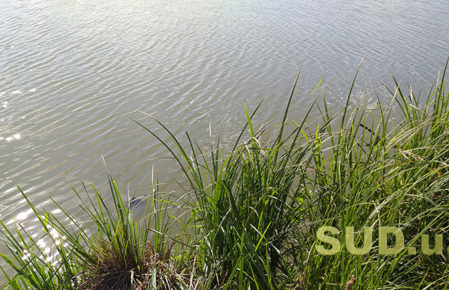 Стало известно, насколько опасно купаться в Днепре киевлянам