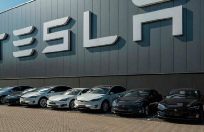 Вдвое дешевле Model 3: Tesla выпустит бюджетную модель для Европы