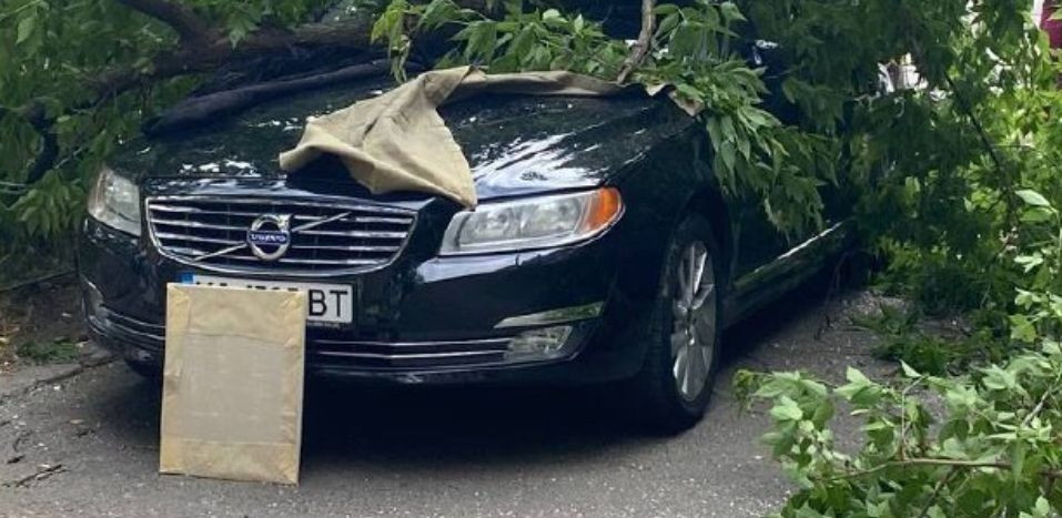В Киеве дерево рухнуло на машину «героя парковки», фото