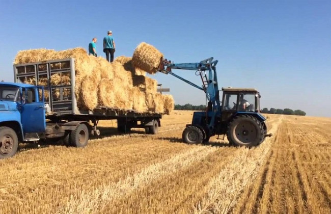 Рада приняла штрафы в 51 тысячу грн за «перегруз» и ошибки в товарных накладных