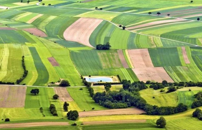 Как нотариусы будут проверять покупателей земли и происхождение средств на такую покупку