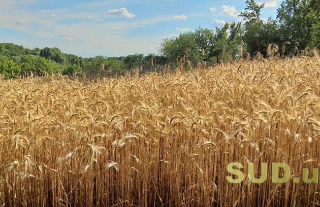 Відкриття ринку землі: як захиститись від неправомірних посягань