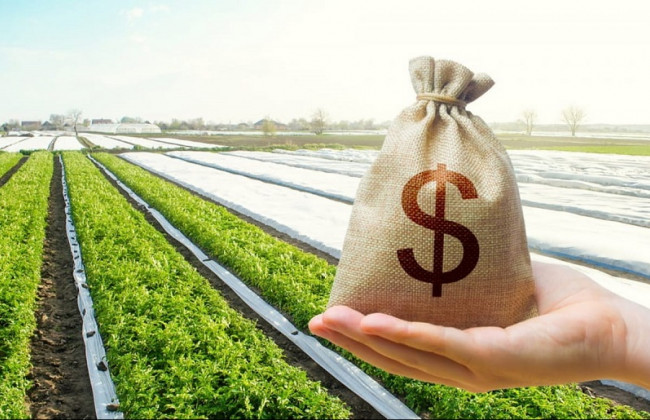 Вступил в силу закон о рынке земли: что стоит знать