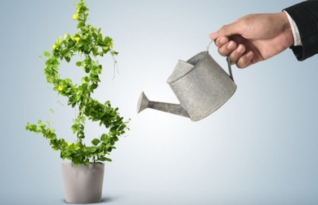 Зелені облігації набрали юридичної сили в Україні: що це означає