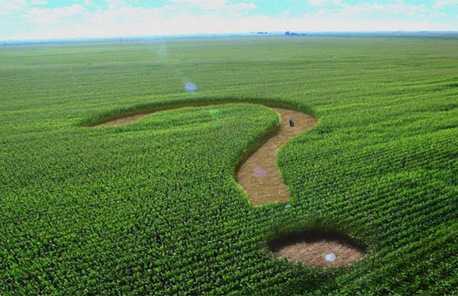 Питання землі: розкрили важливі деталі реєстрації та умови для власників аграрних соток і суб’єктів переважного права