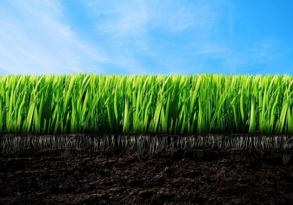 Открытие рынка земли: сколько будет стоит один гектар чернозема