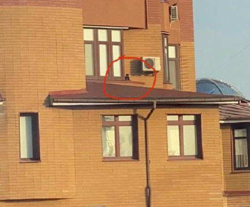 В Киеве альпинисты спасали кота с 23-го этажа, фото