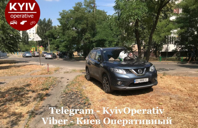 Киевляне наказали очередного «героя парковки»: в ход пошли камни