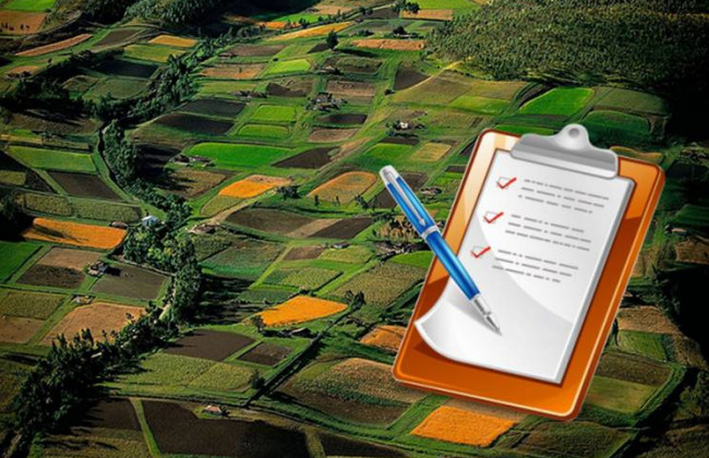 Уряд змінив правила державної реєстрації прав на землю: що слід знати