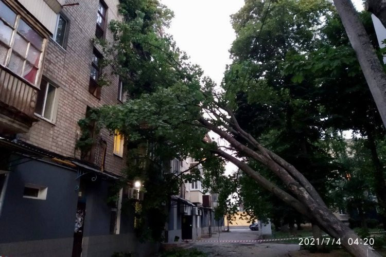 В Харькове на жилой дом упало дерево