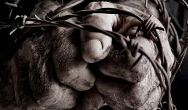 Рада Європи надала експертні коментарі до законопроекту про кримінальну відповідальність за катування