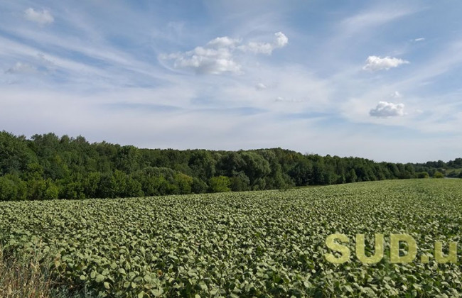 Продаж землі: внесено зміни до двох документів