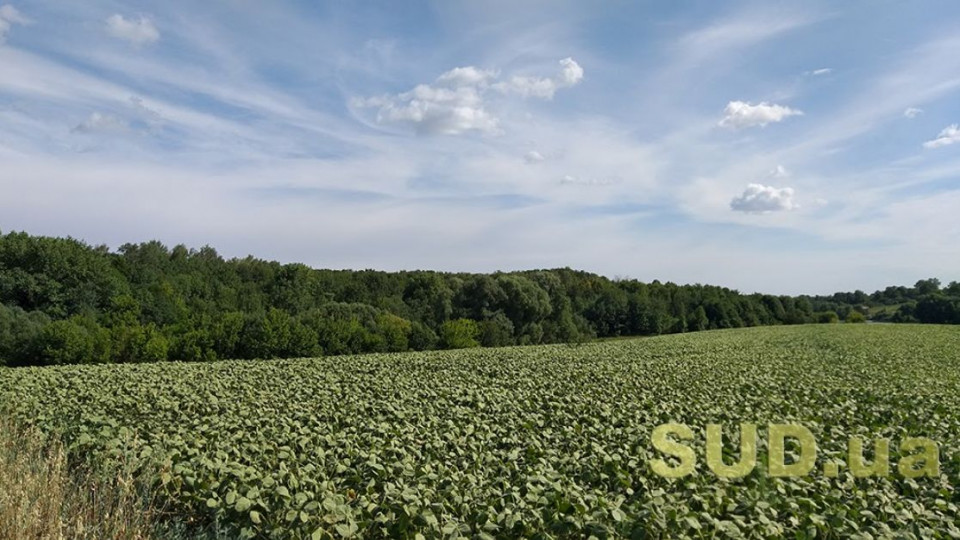 Продаж землі: внесено зміни до двох документів