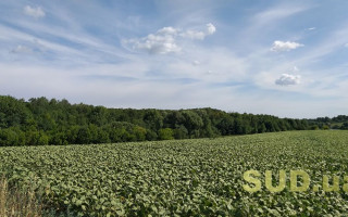 Продаж землі: внесено зміни до двох документів