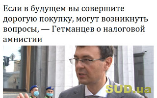 Если в будущем вы совершите дорогую покупку, могут возникнуть вопросы, — Гетманцев о налоговой амнистии