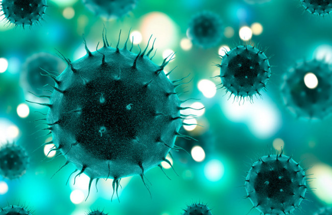 Новые мутации гамма-коронавируса: темпы распространения