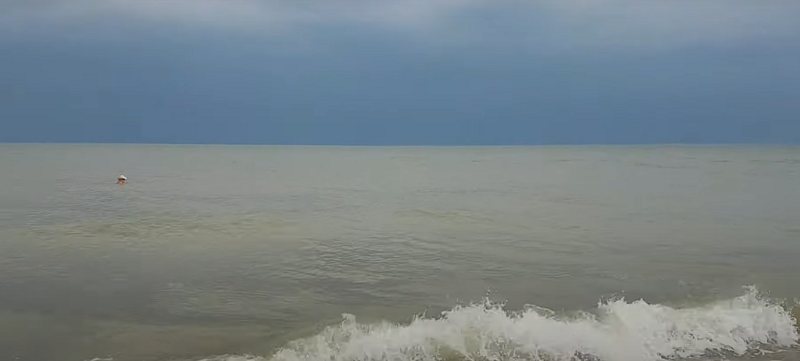 Грязное море, медузы и блохи: украинцы пожаловались на отдых в Бердянске, фото и видео