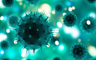 Новые мутации гамма-коронавируса: темпы распространения