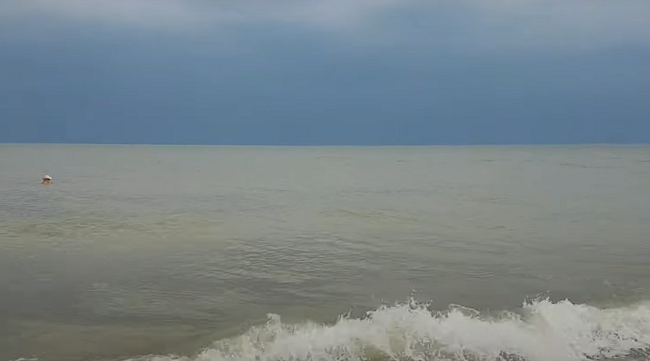 Грязное море, медузы и блохи: украинцы пожаловались на отдых в Бердянске, фото и видео