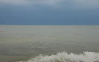 Грязное море, медузы и блохи: украинцы пожаловались на отдых в Бердянске, фото и видео