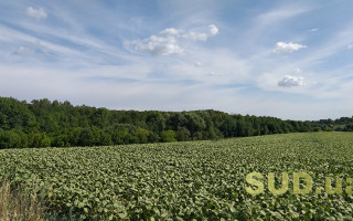 Хто отримає пільги зі сплати земельного податку