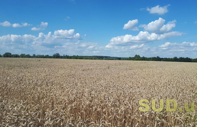 На Вінниччині судитимуть агронома підприємства за захоплення 27 га земель