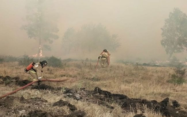 В России горят тысячи гектаров леса