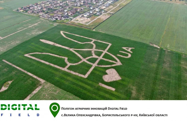 Под Киевом на поле высеяли рекордно большой герб Украины