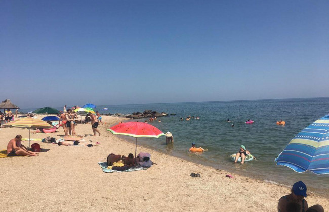 В Бердянске появилась новая напасть: отдыхающие жалуются на нашествие медуз, фото и видео