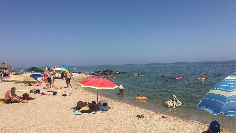 В Бердянске появилась новая напасть: отдыхающие жалуются на нашествие медуз, фото и видео