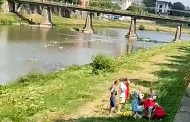 В Ужгороде школьник во время прогулки с учителем упал с перил набережной: забрали на скорой