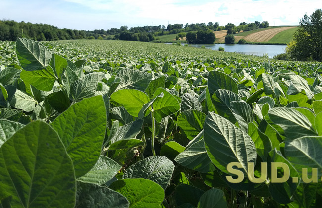 Договір оренди землі: особливості укладання та внесення змін