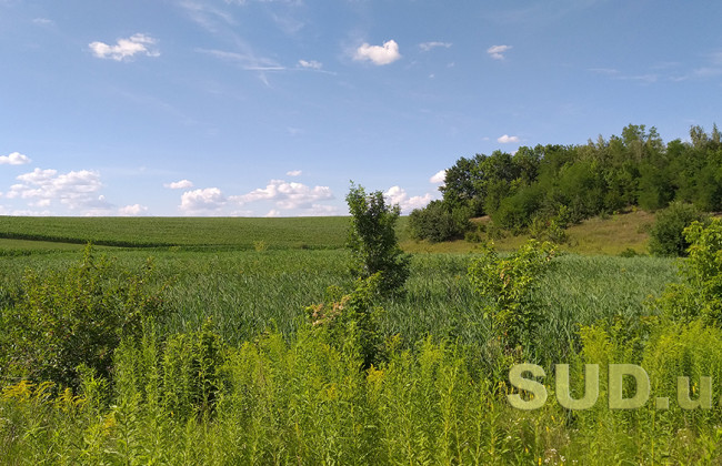Суд повернув у державну власність 32 земельні ділянки в Івано-Франківській області