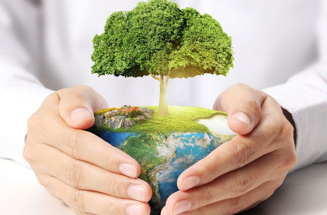 Парламент прийняв за основу законопроект про державний екологічний контроль