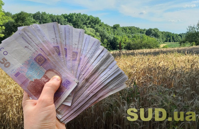 Названа минимальная цена, по которой можно выставлять землю на продажу