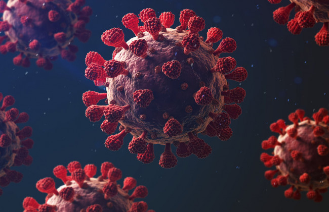 Сколько времени коронавирус живет в доме после того, как жильцы вылечились