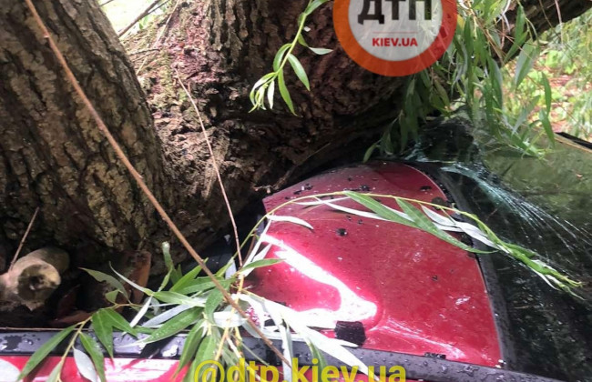 Під Києвом буревій повалив дерева на авто