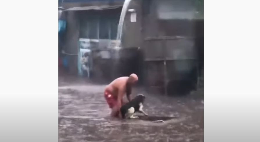 Киевлянин спас собаку во время потопа, видео